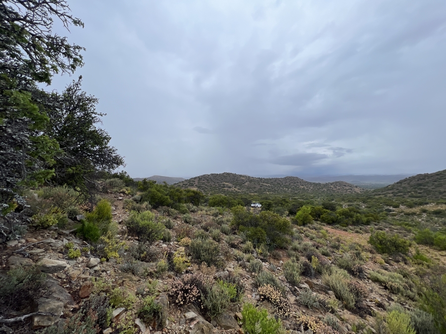 0 Bedroom Property for Sale in Ladismith Western Cape